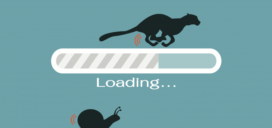 Cartoon loading bars with silhouettes of cheetah and snail